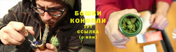 гидропоника Бородино