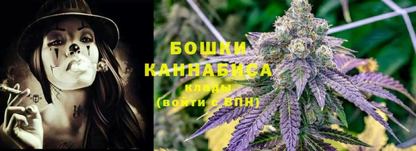 гидропоника Бородино