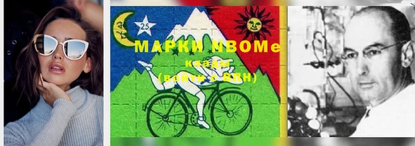 гидропоника Бородино