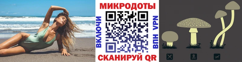 Псилоцибиновые грибы Magic Shrooms  Новоржев 
