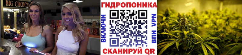 Канабис White Widow  mega ССЫЛКА  Новоржев 